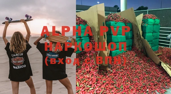 прущие грибы Арсеньев