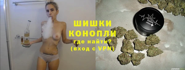 прущие грибы Арсеньев
