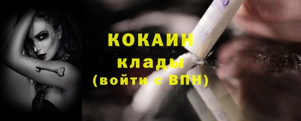 твердый Аркадак