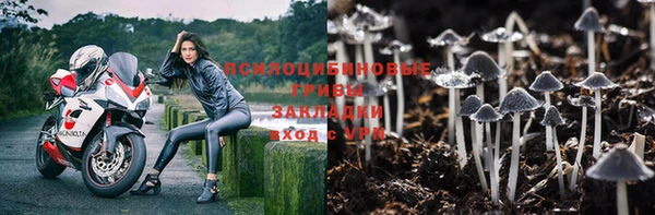 МДПВ Армянск