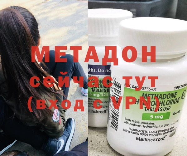 индика Алексин